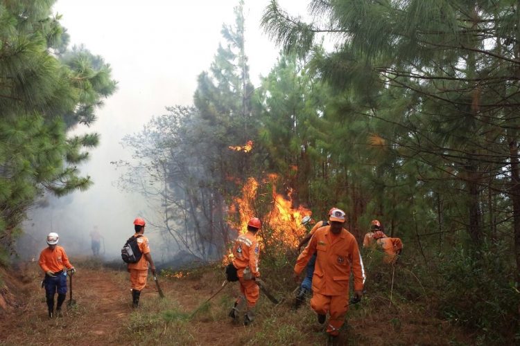 Temporada de incendios forestales en Barrancabermeja